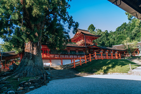 日本旅拍晴天神社京都神社风景拍摄摄影图配图