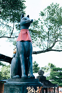 雕塑狐狸白天狐狸石雕日本神社旅拍摄影图配图
