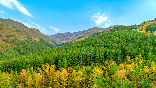 彩林下午树木秋景旅游摄影图配图