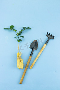 植树节3.12白天书面铁锹室内植树摄影图配图