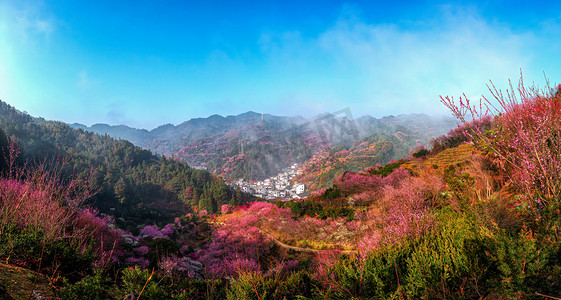 村子摄影照片_村子早晨花海山区无摄影图配图