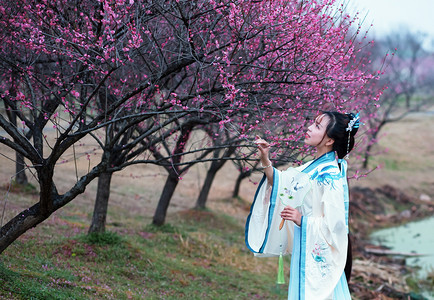 古装汉服女子抬头梅花赏梅摄影图配图