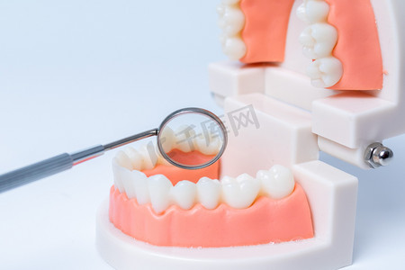 白色牙齿摄影照片_医疗室内牙医照牙齿棚拍静物摆拍摄影图配图