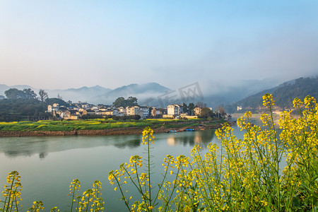 农村清晨油菜花山区无摄影图配图