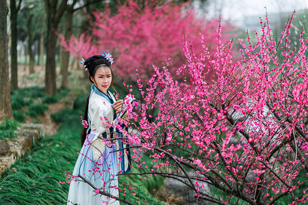 古代女子赏梅花图片图片