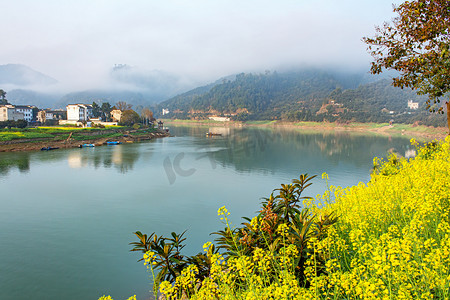 农村早上油菜花山区无摄影图配图