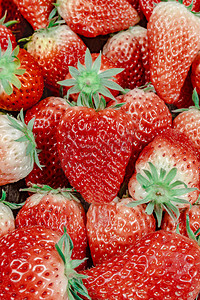 美味营养摄影照片_新鲜小清新红色草莓水果时鲜摄影图配图