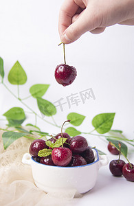 水果果蔬白天车厘子樱桃室内手捏摆拍摄影图配图