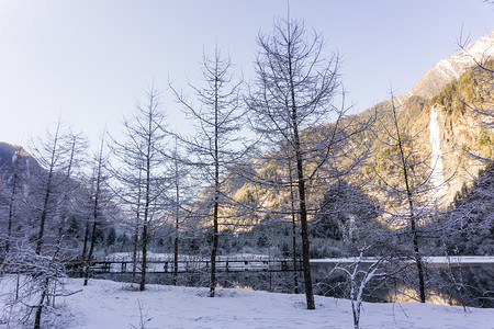 大雪森林摄影照片自然风景冬季雪景风光高清摄影图配图