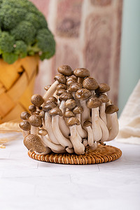 新鲜鲜嫩真姬菇蟹味菇蘑菇摄影图配图