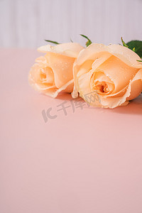 三八妇女节玫瑰花朵礼物摄影图配图