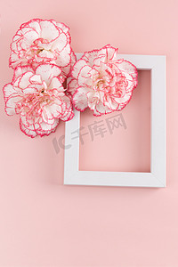 粉色节日海报摄影照片_康乃馨母亲节粉色的花室内节日摄影图配图