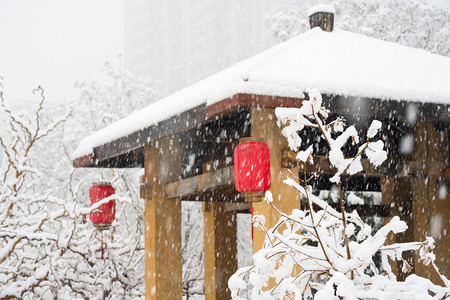 大雪枯树枝摄影照片_冬季雪景白天冬季雪景亭子落雪室外冬季雪景摄影图配图