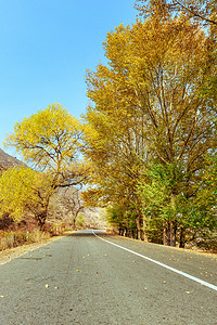 山村公路上午公路秋季素材摄影图配图