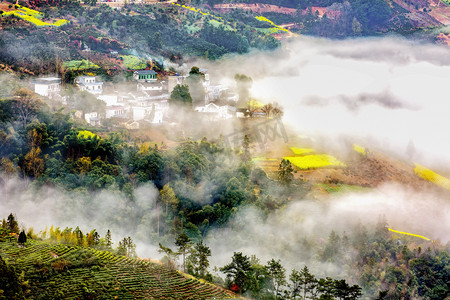 黄色山峰摄影照片_云海早上油菜花山区无摄影图配图