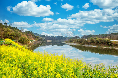 春季全家福摄影照片_河水早晨油菜花河边无摄影图配图