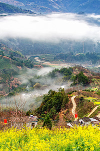 黄色山峰摄影照片_村庄清晨油菜花山区无摄影图配图