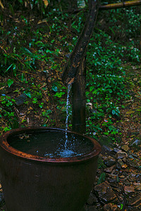 山林中小屋摄影照片_泉水雨水水森林摄影图配图