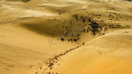 沙漠沙窝下午沙窝春季素材摄影图配图