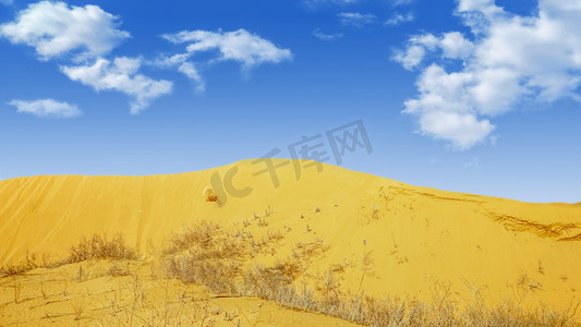 户外运动素材摄影照片_库布其沙漠上午沙丘春季素材摄影图配图