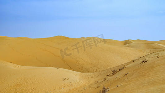 沙丘沙漠下午沙丘春季素材摄影图配图