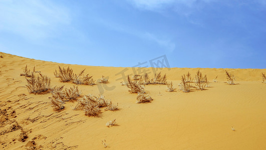 户外运动素材摄影照片_沙漠上午沙丘春季素材摄影图配图