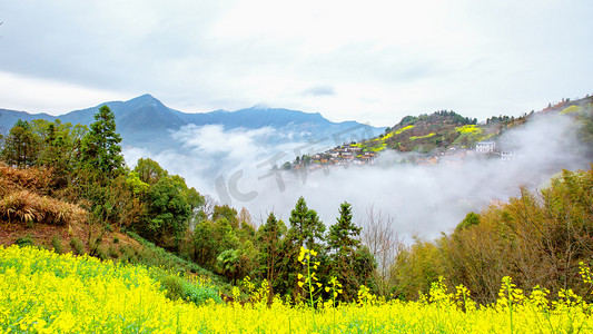 山峰摄影照片_山峰早晨油菜花山地无摄影图配图