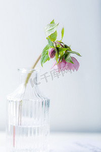 一枝玫瑰玫瑰摄影照片_静物白天花瓶中一枝粉色玫瑰花室内桌面文艺摄影图配图