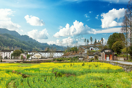 毕节花海摄影照片_农村白天油菜花山地无摄影图配图