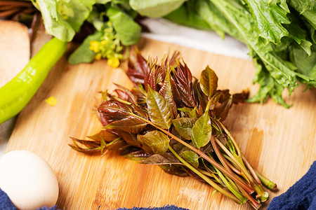 蔬菜摄影照片_新鲜野菜香椿饮食美味摄影图配图