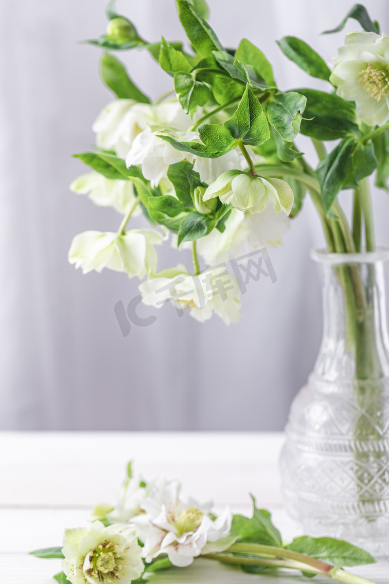 静物白天一束圣诞玫瑰花室内花瓶文艺摄影图配图高清摄影大图 千库网