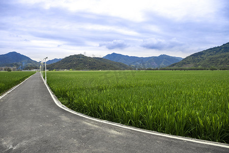 瑞安市下午农村田野道路乡村无摄影图配图