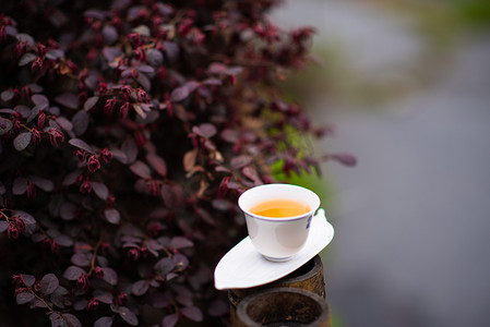 茶汤下午茶叶室外茶摄影图配图
