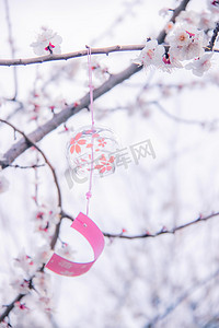 文艺桃树枝白天桃树枝上的风铃室外风铃摄影图配图