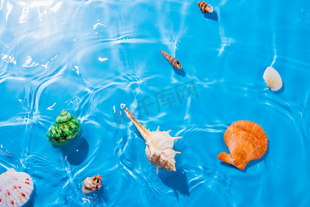 贝壳和水波宝图贝壳和水波室外夏日度假摄影图配图