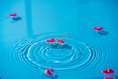 水中漂浮的花朵白天水花瓣室外水中漂浮的花朵摄影图配图