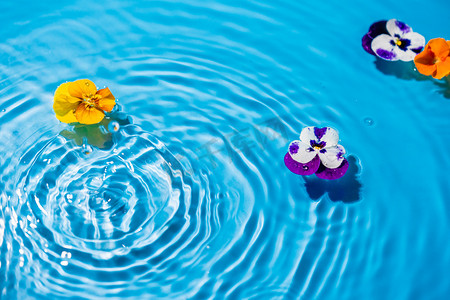 水中漂浮的花朵白天黄色花朵室外水中漂浮的花朵摄影图配图