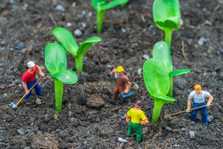 春耕种植白天春耕种植人物室外春耕种植摄影图配图