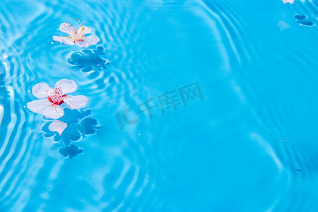 花瓣白天水波纹中漂浮室外水波纹摄影图配图