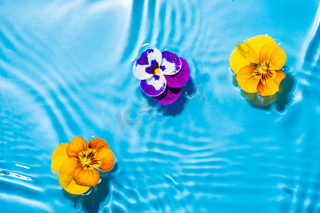 水中漂浮的花朵白天花朵室外水中漂浮的花朵摄影图配图