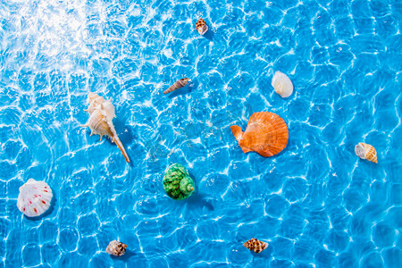 夏日度假贝壳和水波白天贝壳室外夏日度假摄影图配图