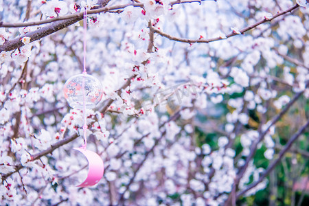 文艺桃树枝上的风铃白天桃树枝风铃室外风铃摄影图配图