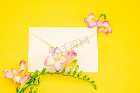 花朵白天信封室内花朵和信封摄影图配图