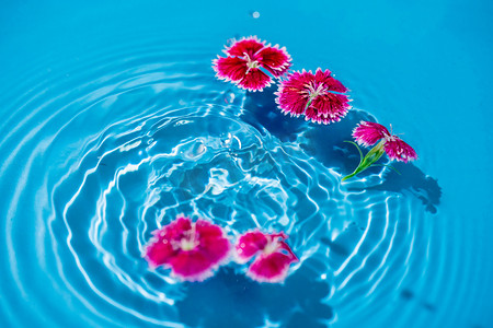 水中漂浮的花朵白天粉红色花朵室外漂浮摄影图配图