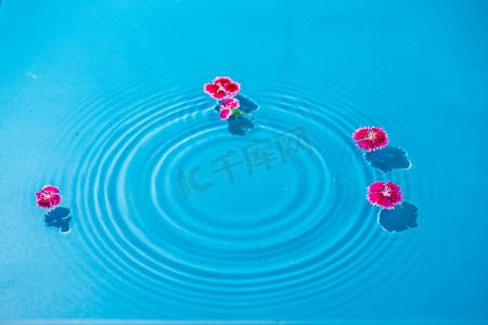 水中漂浮的花朵白天水室外水中漂浮的花朵摄影图配图