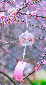 春季桃花白天桃花和风铃室外桃花和风铃摄影图配图