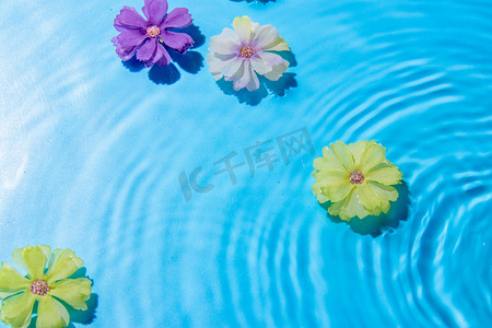 植物漂浮元素摄影照片_花瓣白天水波纹中漂浮室外花瓣摄影图配图