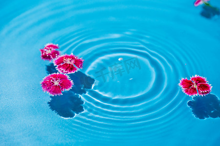 水中漂浮的花朵白天水中漂浮室外粉红色花朵摄影图配图