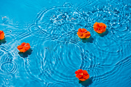 蓝色水波水纹摄影照片_水中漂浮的花朵白天水中漂浮室外漂浮摄影图配图
