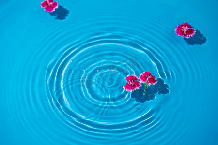 水花水波纹摄影照片_水花朵白天水中漂浮的花朵室外水中漂浮的花朵摄影图配图